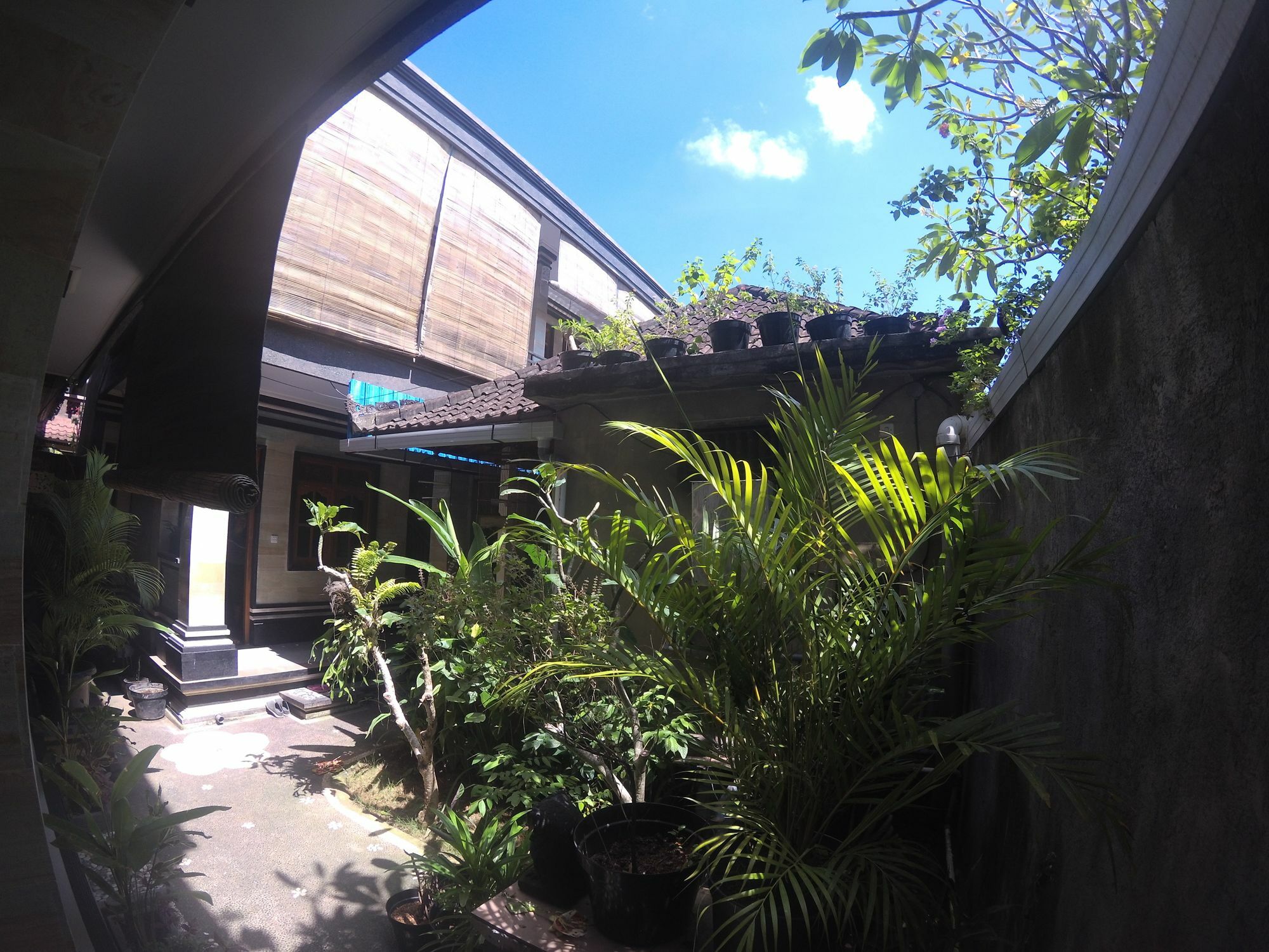 Rumah Ary Homestay & Spa Ubud  Exterior photo