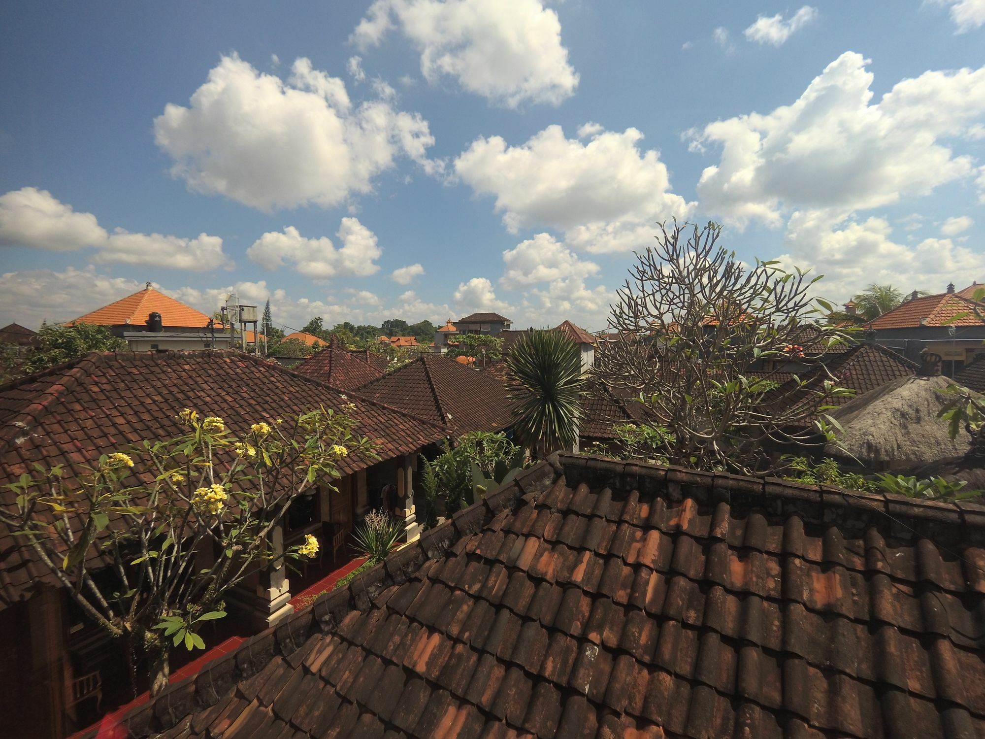 Rumah Ary Homestay & Spa Ubud  Exterior photo
