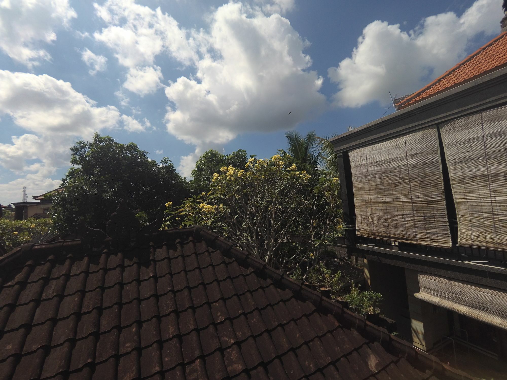 Rumah Ary Homestay & Spa Ubud  Exterior photo
