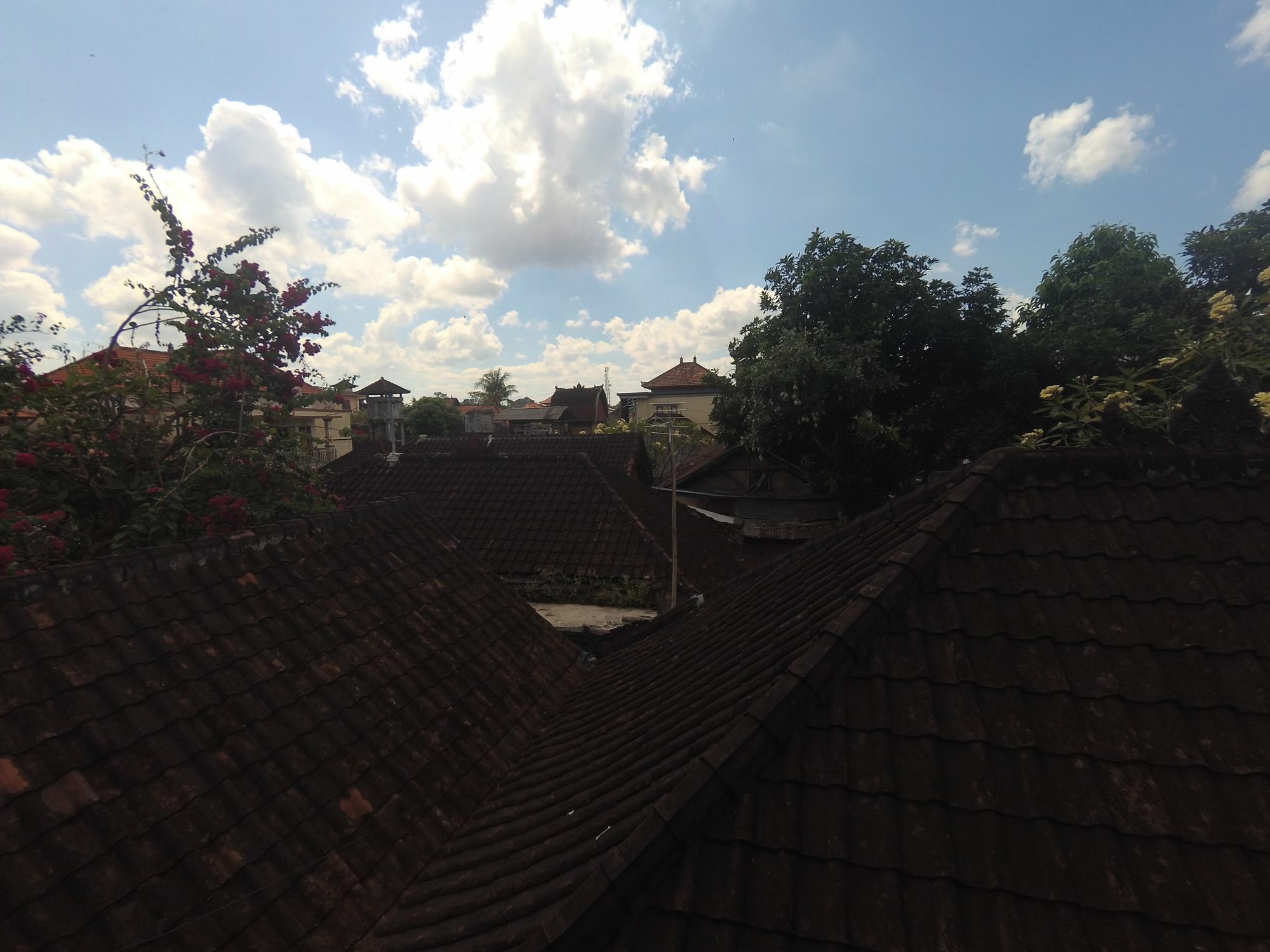 Rumah Ary Homestay & Spa Ubud  Exterior photo